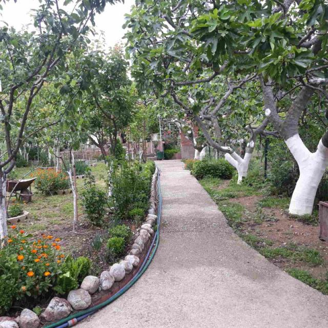 One-storey house with a large plot in Shushani, Bar