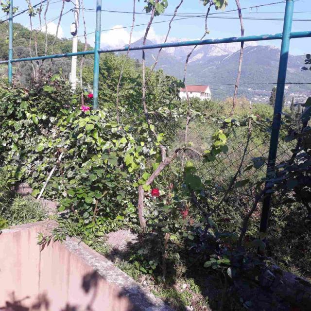 One-storey house with a large plot in Shushani, Bar