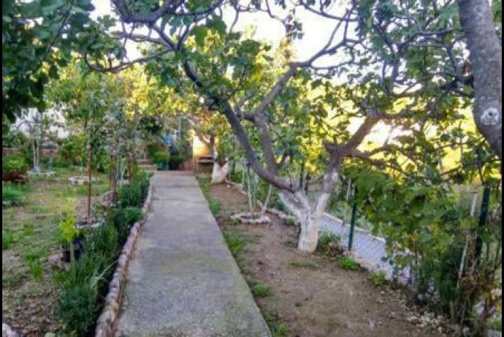 One-storey house with a large plot in Shushani, Bar
