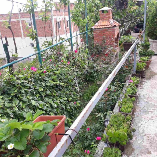 One-storey house with a large plot in Shushani, Bar