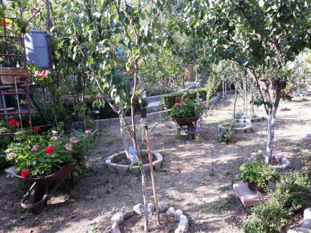 One-storey house with a large plot in Shushani, Bar