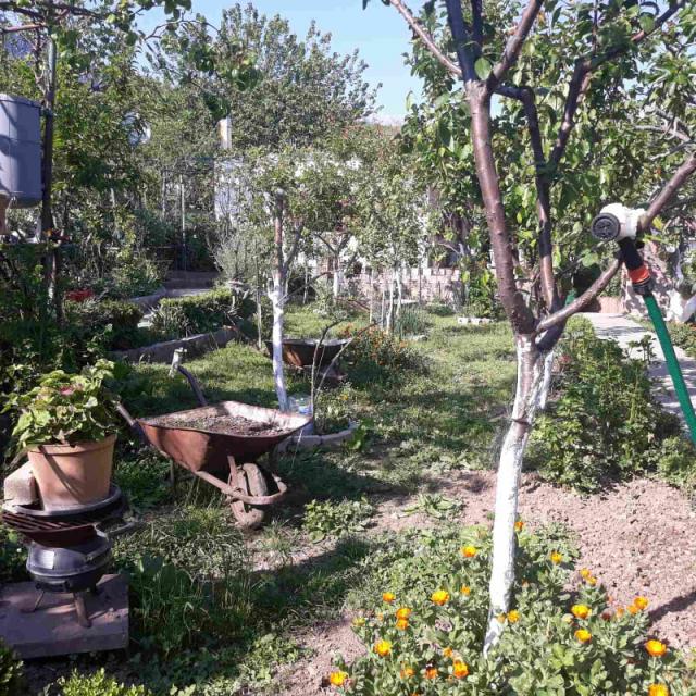 One-storey house with a large plot in Shushani, Bar