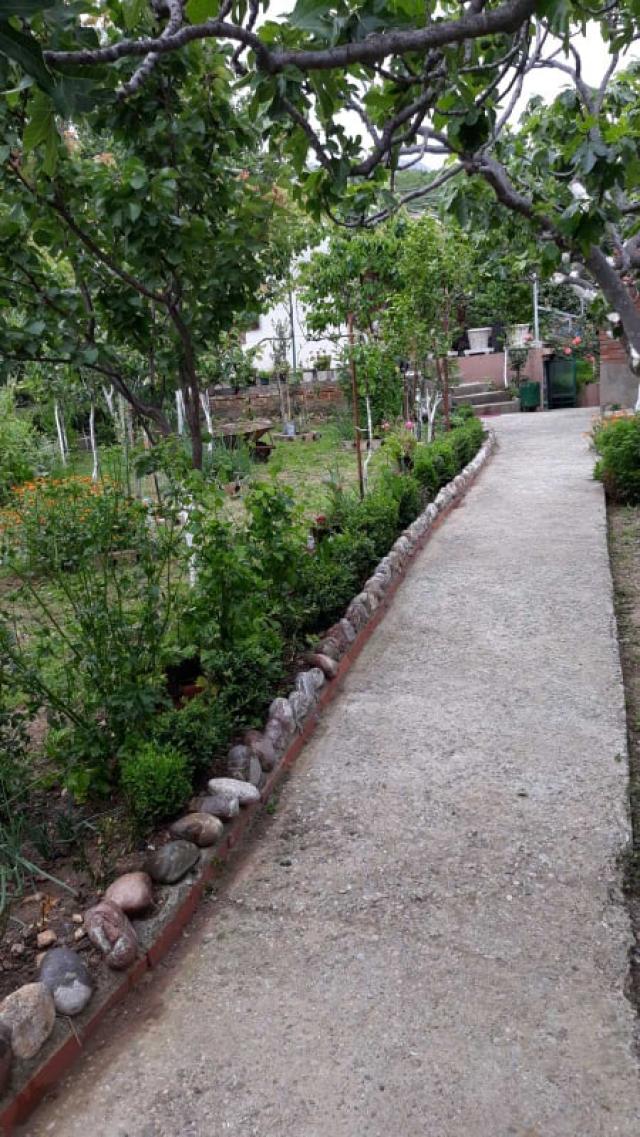 One-storey house with a large plot in Shushani, Bar