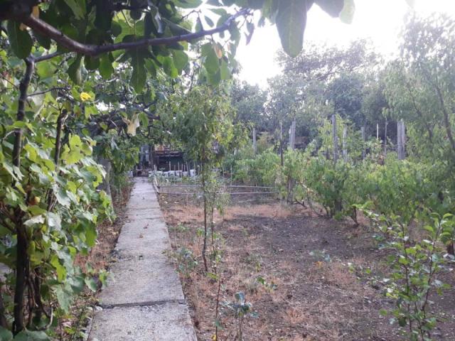 One-storey house with a large plot in Shushani, Bar