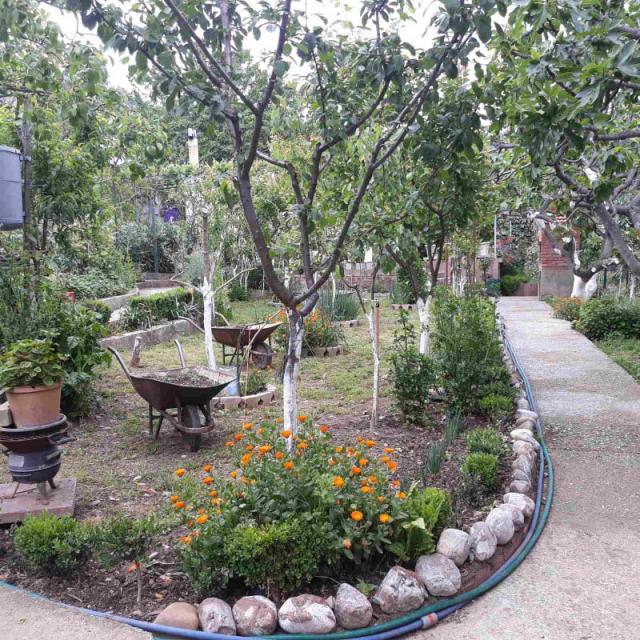 One-storey house with a large plot in Shushani, Bar