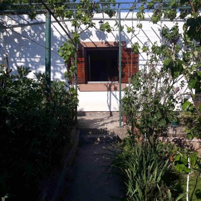 One-storey house with a large plot in Shushani, Bar