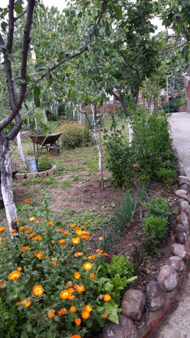 One-storey house with a large plot in Shushani, Bar