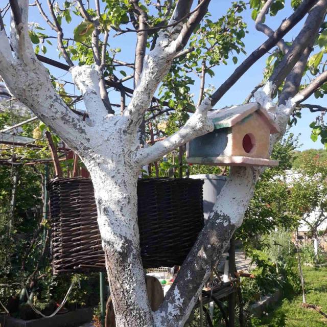 One-storey house with a large plot in Shushani, Bar