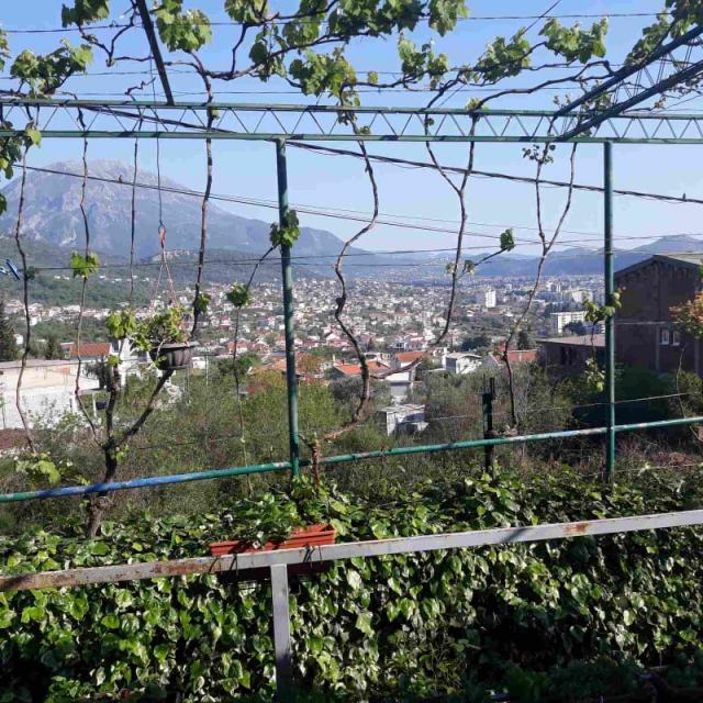 One-storey house with a large plot in Shushani, Bar