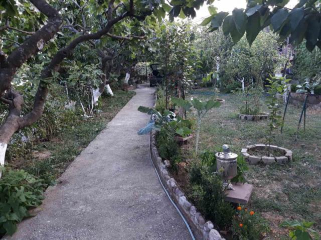 One-storey house with a large plot in Shushani, Bar