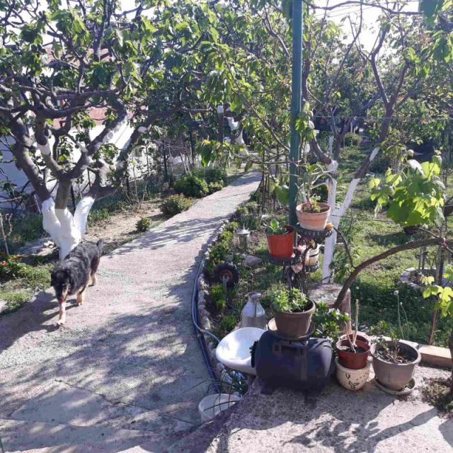 One-storey house with a large plot in Shushani, Bar