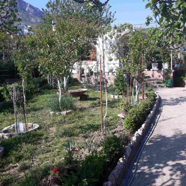 One-storey house with a large plot in Shushani, Bar