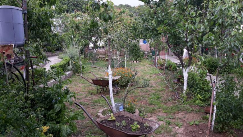 One-storey house with a large plot in Shushani, Bar