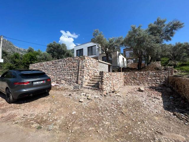 Four new villas in an olive grove in the city of Bar
