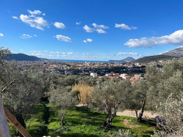 Four new villas in an olive grove in the city of Bar