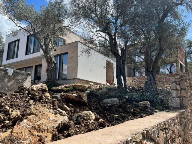 Four new villas in an olive grove in the city of Bar