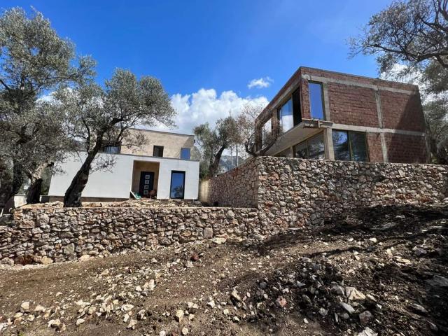 Four new villas in an olive grove in the city of Bar