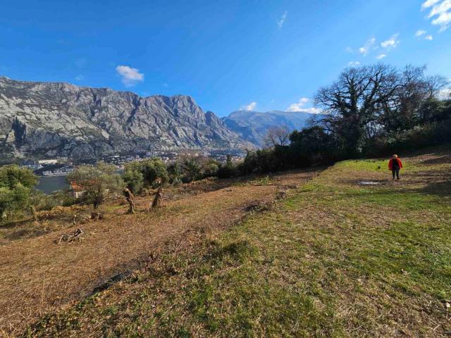 Large plot of land in Prcanj with sea views