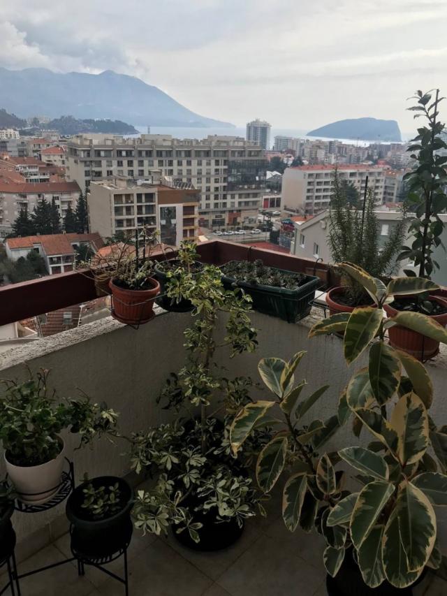 Apartment with 2 bedrooms in Budva (Dubovica)