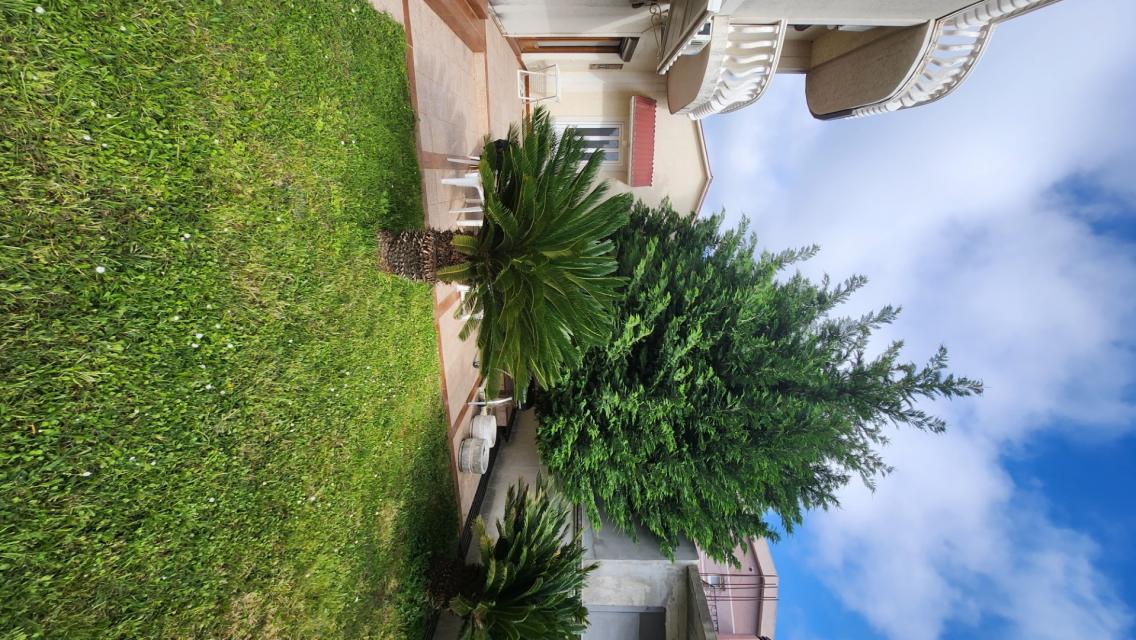Two houses with a large plot in Sutomore on the plain