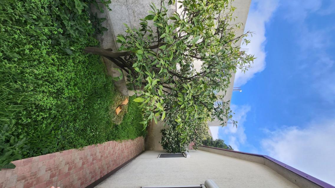 Two houses with a large plot in Sutomore on the plain