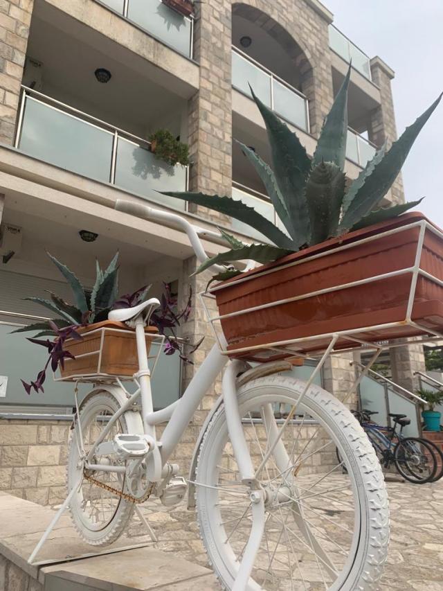 Hotel in Becici with 17 apartments