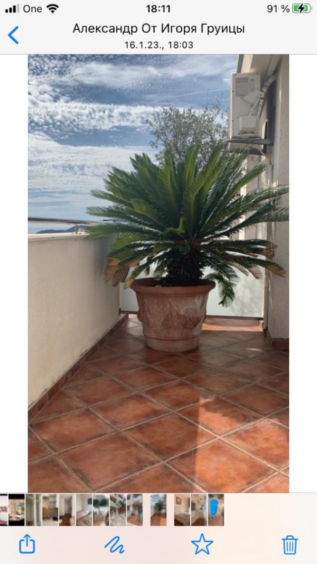 Hotel in Becici with 17 apartments
