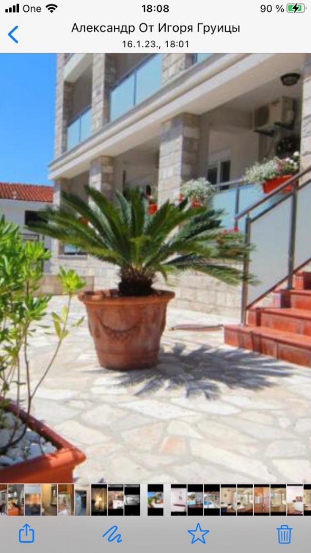 Hotel in Becici with 17 apartments