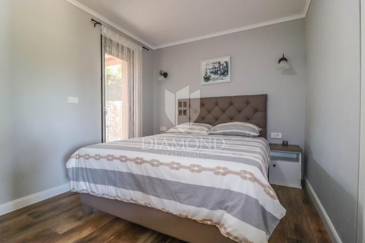 Rovinj, okolica, osunčana kuća sa velikom okućnicom