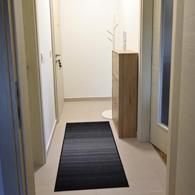 Jednosoban namješten stan, 50m2, Zagorič, Podgorica