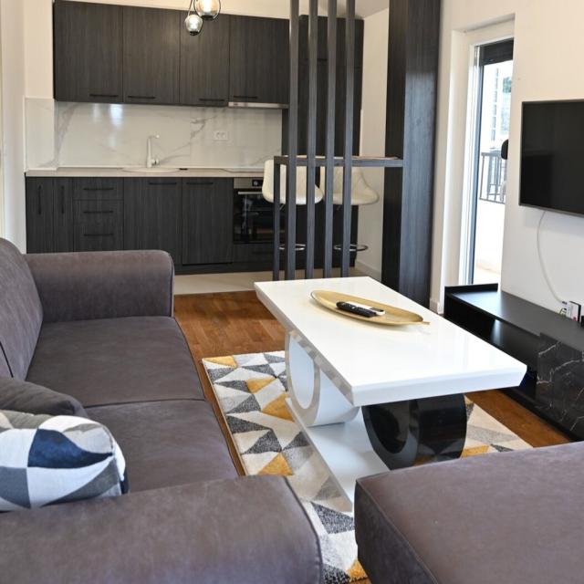 Jednosoban namješten stan, 50m2, Zagorič, Podgorica