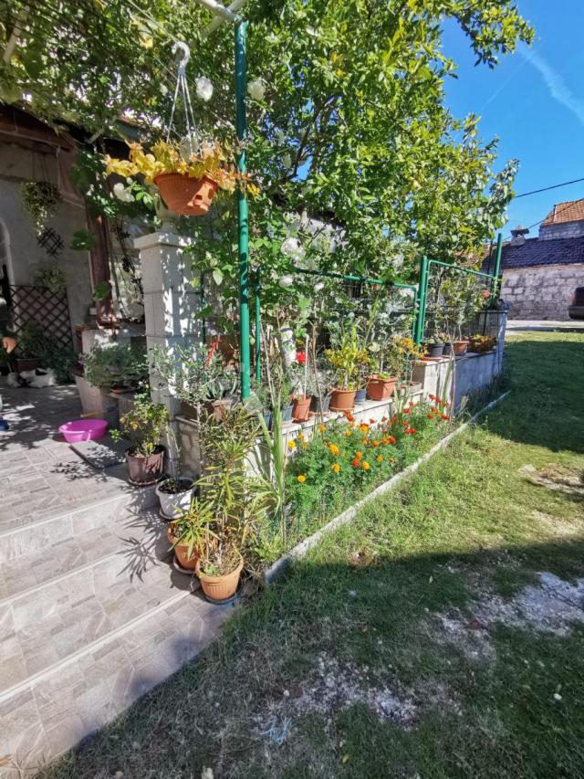 OBITELJSKA STAMBENA KUĆA USELJIVA ODMAH - prilika, HITNO