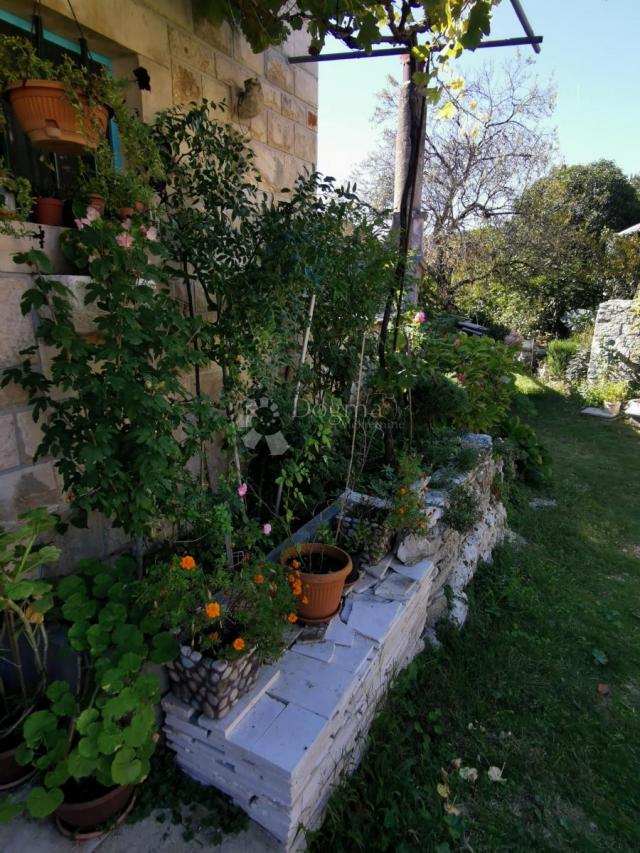 OBITELJSKA STAMBENA KUĆA USELJIVA ODMAH - prilika, HITNO