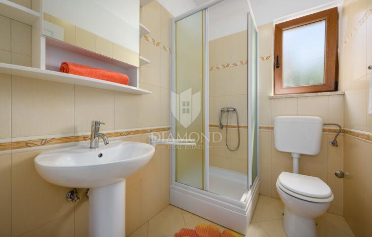 Poreč, okolica, villa s bazenom okružena zelenilom
