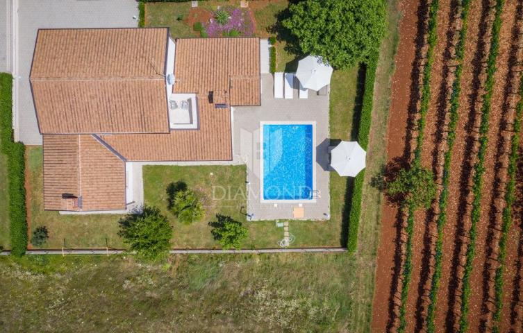 Poreč, okolica, villa s bazenom okružena zelenilom