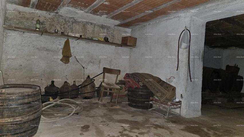 Kuća ŽMINJ (okolice) - odlična kamena kuća s dvorištem