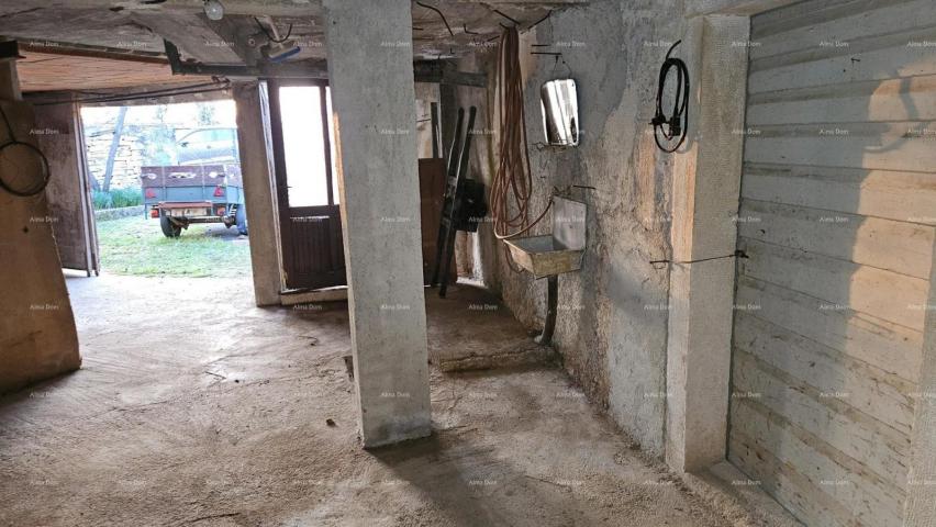 Kuća ŽMINJ (okolice) - odlična kamena kuća s dvorištem