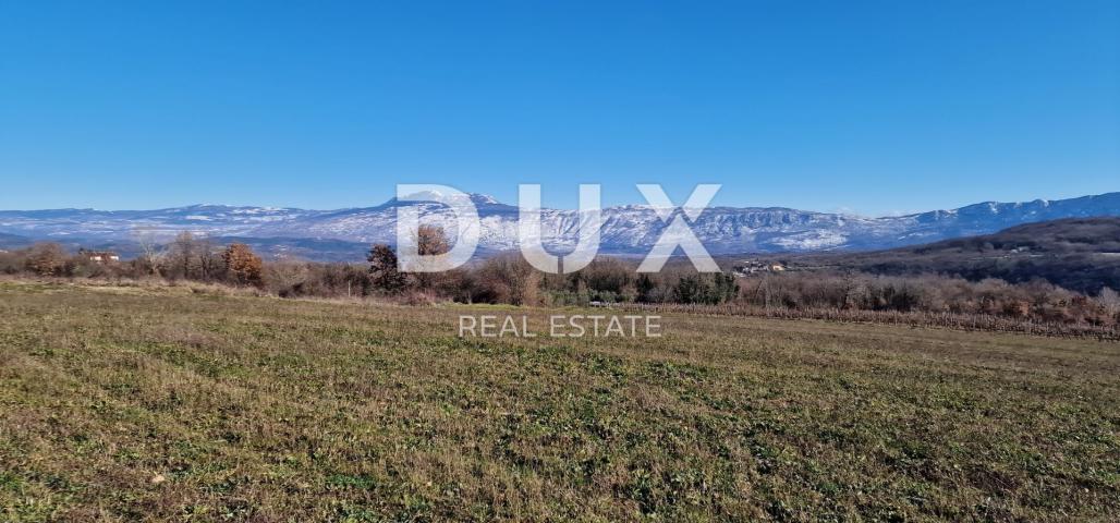 ISTRIA, PIĆAN - Building land, olive grove, vineyard, arable land, complete solitude and fantastic v