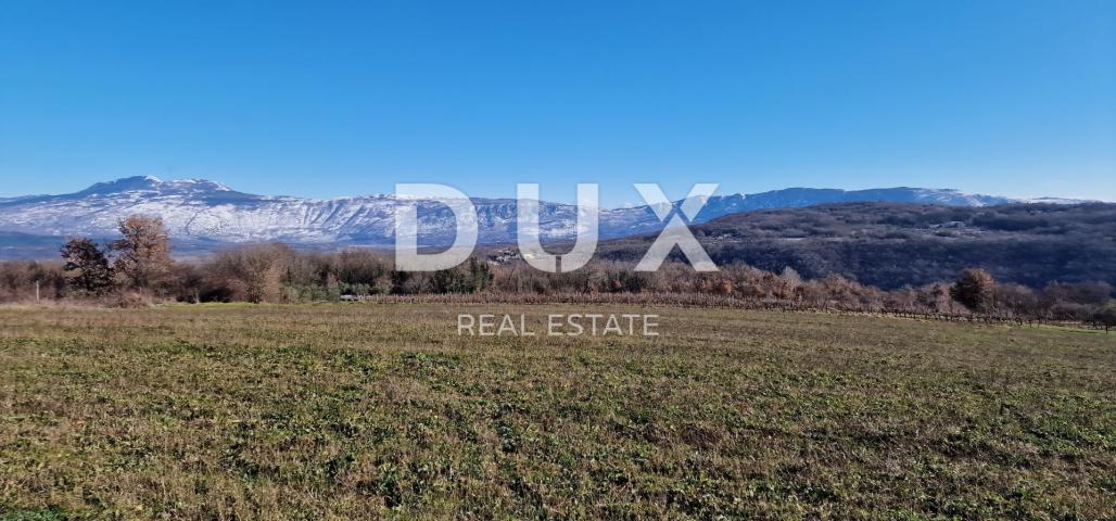 ISTRIA, PIĆAN - Building land, olive grove, vineyard, arable land, complete solitude and fantastic v