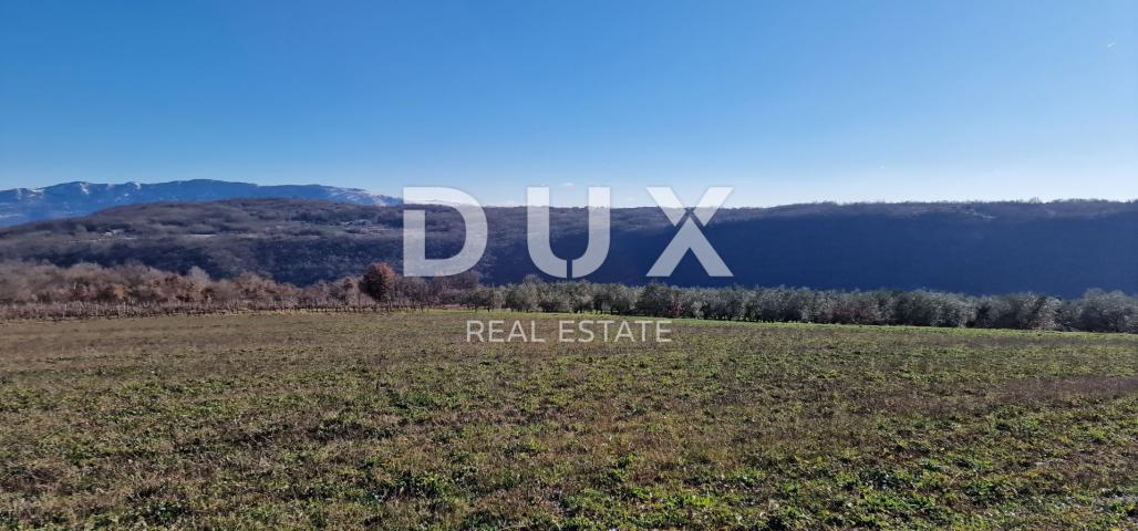 ISTRIA, PIĆAN - Building land, olive grove, vineyard, arable land, complete solitude and fantastic v