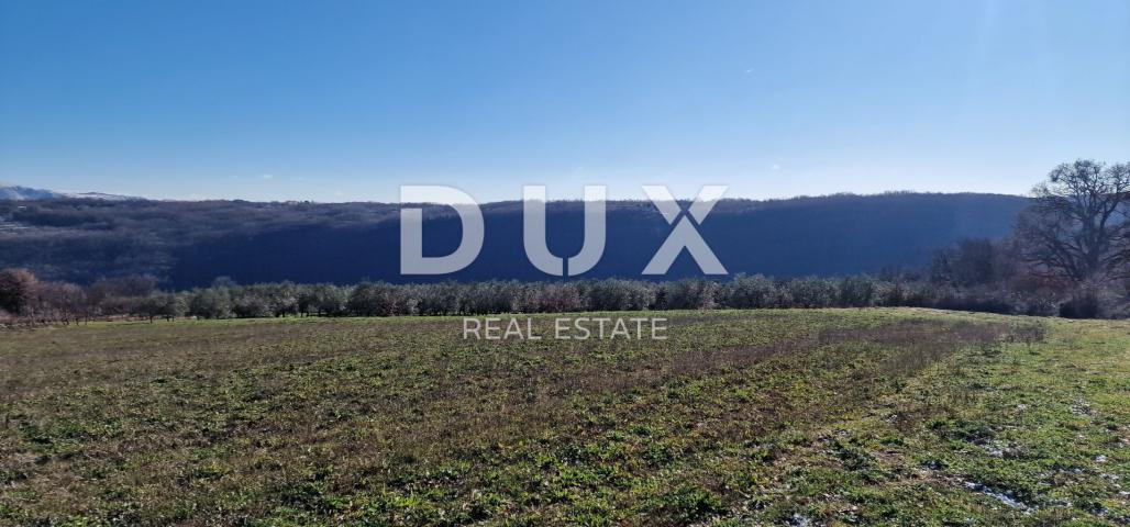ISTRIA, PIĆAN - Building land, olive grove, vineyard, arable land, complete solitude and fantastic v