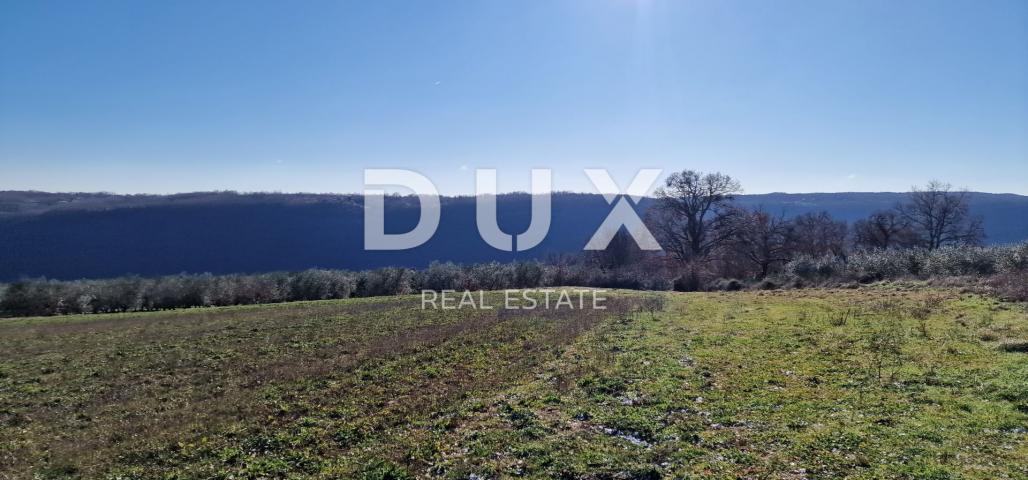 ISTRIA, PIĆAN - Building land, olive grove, vineyard, arable land, complete solitude and fantastic v