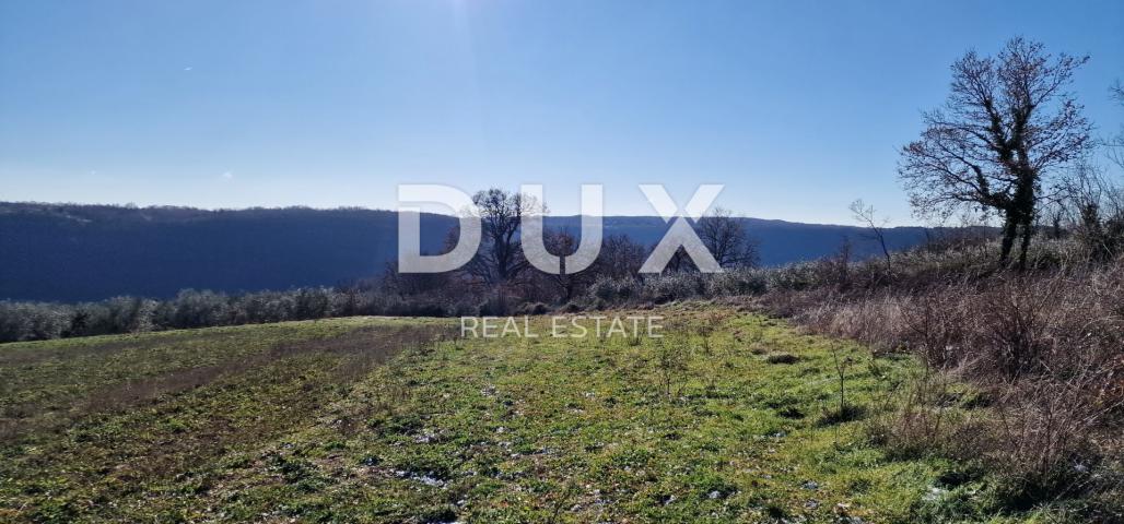 ISTRIA, PIĆAN - Building land, olive grove, vineyard, arable land, complete solitude and fantastic v
