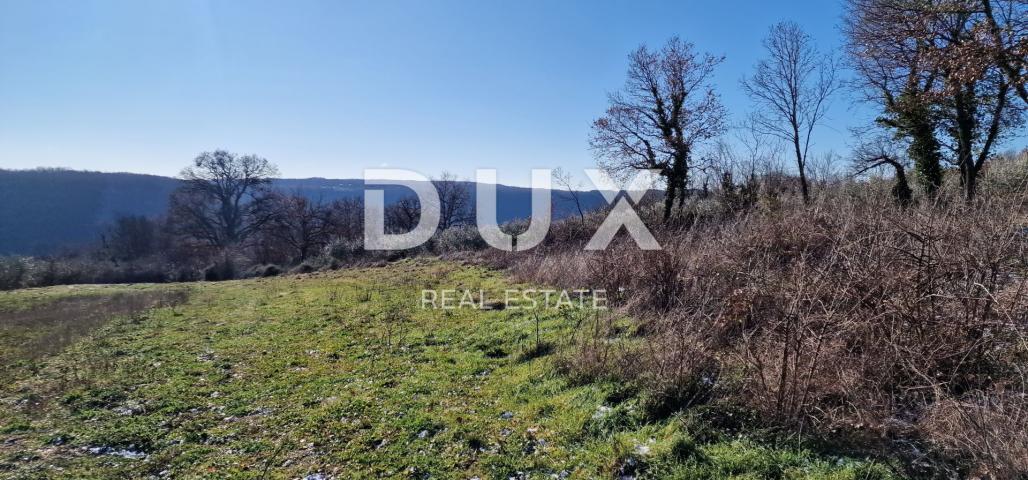 ISTRIA, PIĆAN - Building land, olive grove, vineyard, arable land, complete solitude and fantastic v