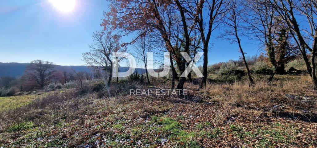 ISTRIA, PIĆAN - Building land, olive grove, vineyard, arable land, complete solitude and fantastic v