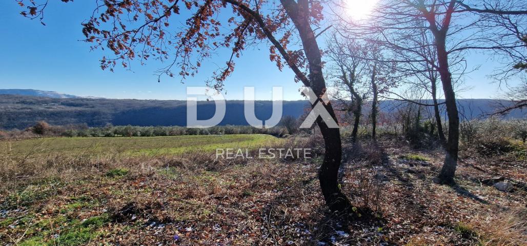ISTRIA, PIĆAN - Building land, olive grove, vineyard, arable land, complete solitude and fantastic v