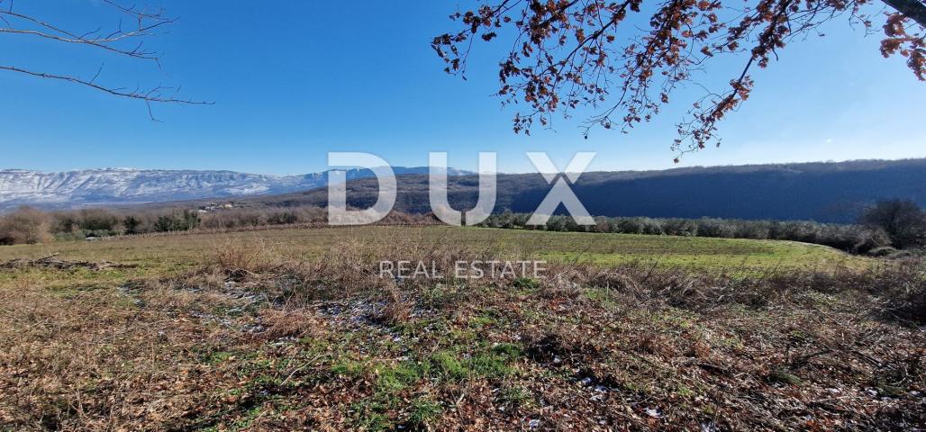 ISTRIA, PIĆAN - Building land, olive grove, vineyard, arable land, complete solitude and fantastic v