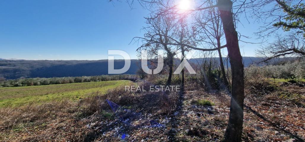 ISTRIA, PIĆAN - Building land, olive grove, vineyard, arable land, complete solitude and fantastic v