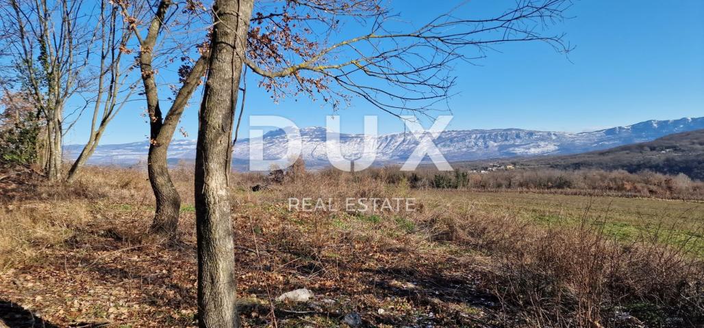 ISTRIA, PIĆAN - Building land, olive grove, vineyard, arable land, complete solitude and fantastic v