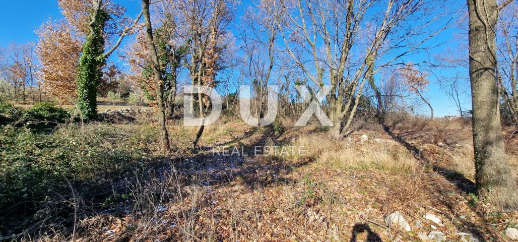 ISTRIA, PIĆAN - Building land, olive grove, vineyard, arable land, complete solitude and fantastic v